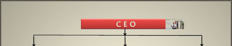 Organisation Chart