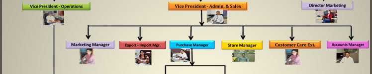 Organisation Chart
